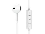 ENE-1101--1-