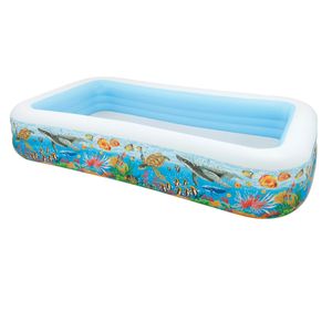 Intex - Piscina Inflable 58485/584857/454856