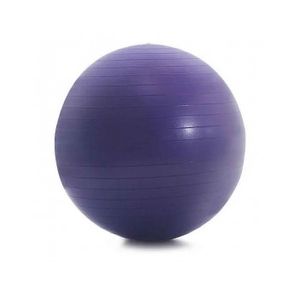 Proform - Pelota para Gimnasio PFFB5515 55cm | Purpura