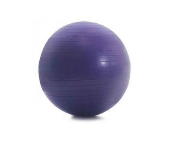 Proform - Pelota para Gimnasio PFFB5515 55cm | Purpura