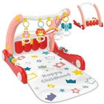 GIMNASIO-ANDADOR-ROSA-0634