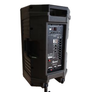 Roswel - Parlante Activo JPS8815FA 15" | Negro