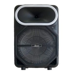 Roswel - Parlante Activo  TFQ15B 15" |Negro