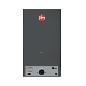 Rheem - Calefón gas BEYON 13 2EV | Silver
