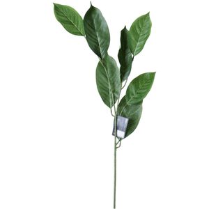 Noritex - Planta Decorativa 456-510607 | Verde