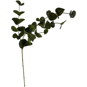 Noritex - Rama Decorativa 592-480085 | Verde