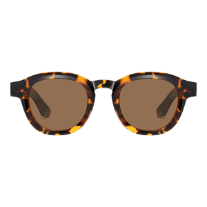 Oso de Anteojos - Gafas Quinn S31107-C2 | Traslúcida
