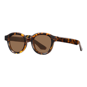 Oso de Anteojos - Gafas Quinn S31107-C2 | Traslúcida