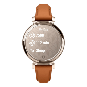 Smartwatch Garmin Lily 2 Classic