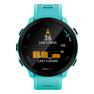 Smartwatch Garmin Forerunner 55