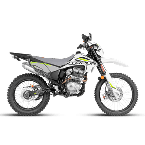 Moto Dp Daytona Dy250 Scorpion 2026
