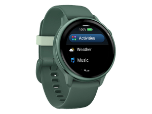 Smartwatch Garmin Vivoactive 6