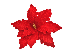 Flor Nav.Red Ref:Ds2024-1496 (33*19Cm)Rj
