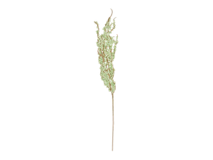 Rama Nav.Green Ref:Cf8-4B196R (60Cm) Verde